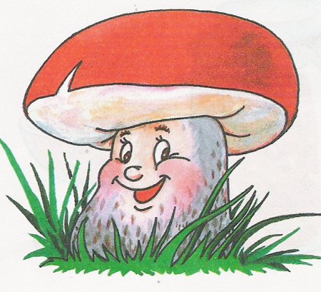 Гриб Боровик для детей