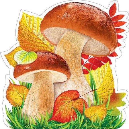 Осенние грибы для детей