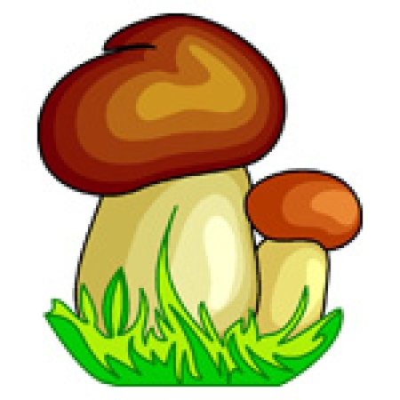 Грибочки картинки для детей для вырезания