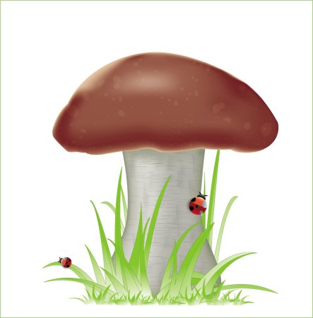 Гриб нарисованный на белом фоне