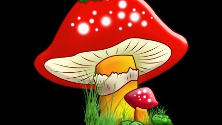 «Грибы для белки» (Комарова, с.36)