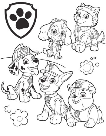 Paw Patrol раскраска