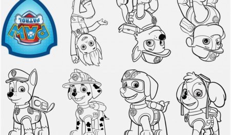 Рокки Щенячий патруль раскраска