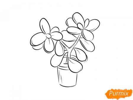 Денежное дерево раскраска