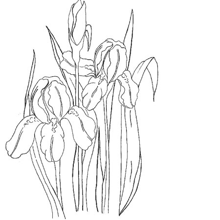 Карточки цветов для детей с названиями