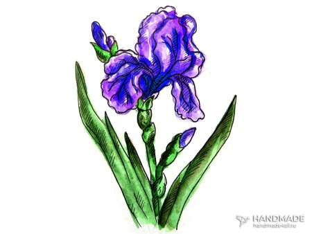 Ирис мультяшный
