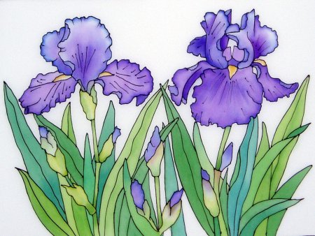 Цветы для детей на прозрачном фоне