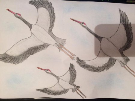 Журавль карандашом