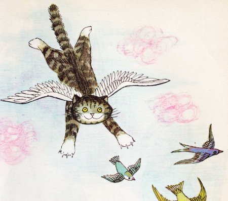 Летающий кот с крыльями