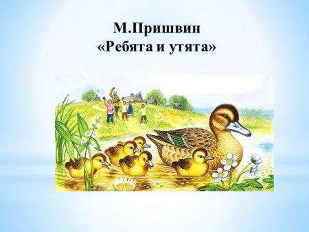 Рисунок к рассказу ребята и утята пришвин