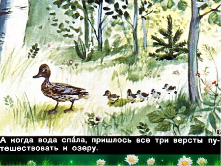 Утята идут друг за другом