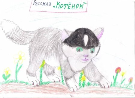 Л Н толстой котенок