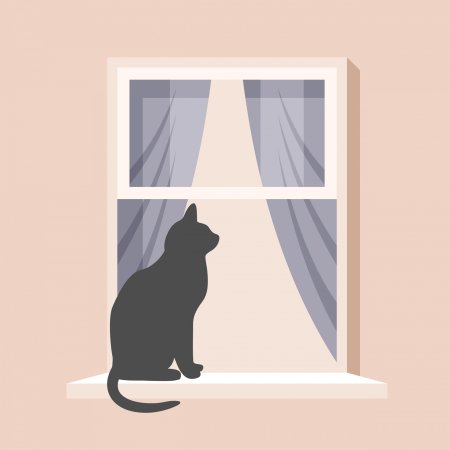 Кот на окне
