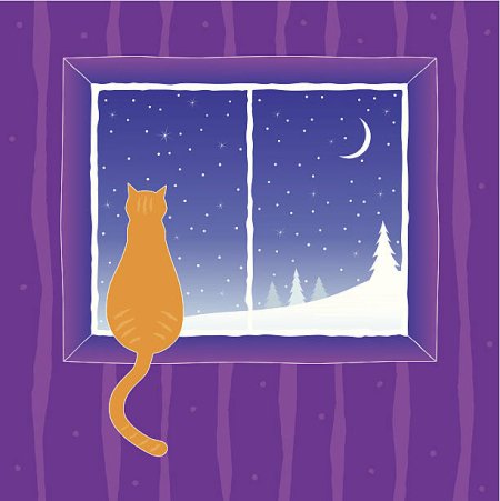 Кот сидит в зимнее окно