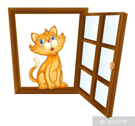 Котенок на окошке для детей