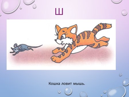 Кошка ловит мышку