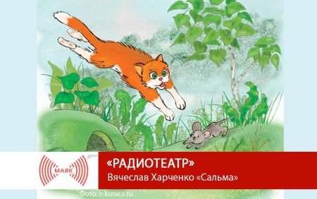 Кошка ловит мышку