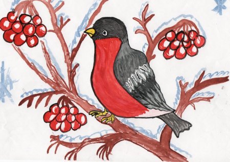 Птицы наши друзья