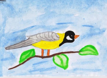 Рисование синица на ветке