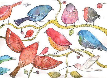 Птицы наши пернатые друзья