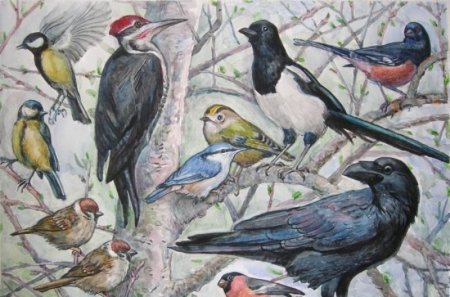 Весенние рисунки