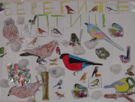 Рисование птицы на кормушке