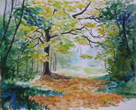 Пейзаж по изо