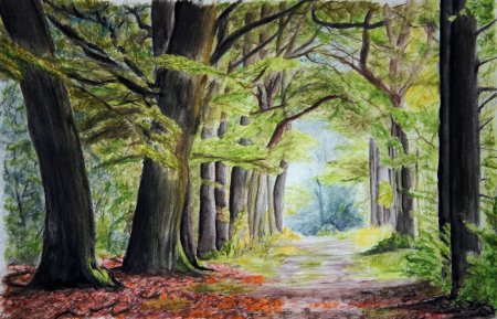 Пейзажи карандашами цветными лес