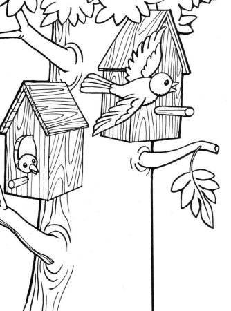 Скворечник с птицами раскраска