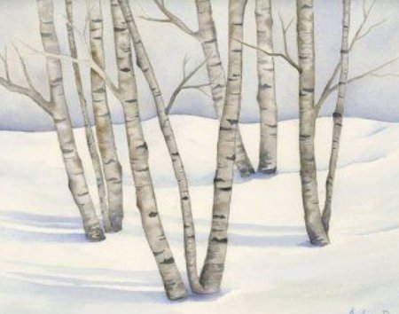 Рисование береза зимой в подготовительной группе