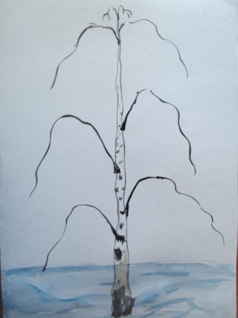 Поэтапное рисование зимней березы