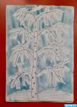 Рисование береза зимой в подготовительной группе