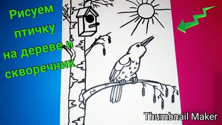 Поэтапное рисование дерева со скворечником