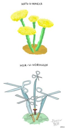 Рисование мать и мачеха