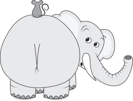 Слон вид сзади