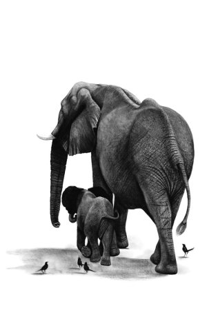 Слоны рисунки