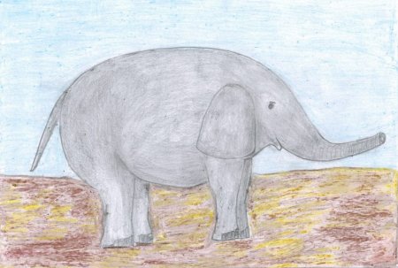 Карнавал сен Санс слон