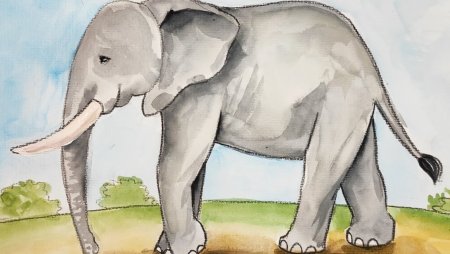 Детские рисунки слонов