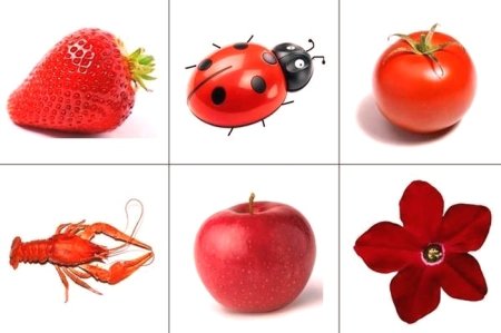 Красный цвет для детей