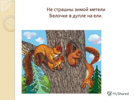 Рисование Белочка в дупле зимой