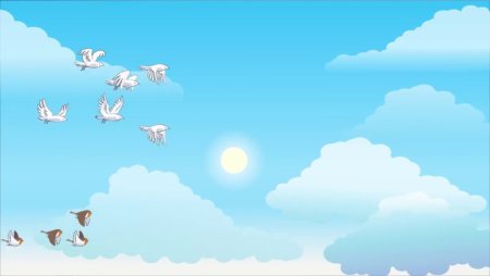 Фон с птичками для презентации