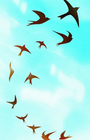 Ласточки в небе