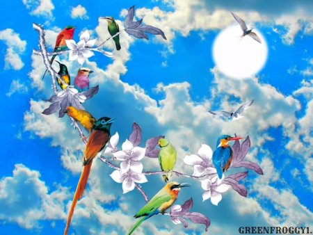 Фотообои птицы в небе