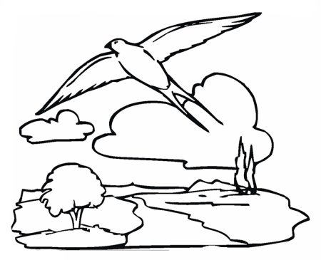 Ласточка раскраска