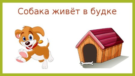 Собака живет в конуре