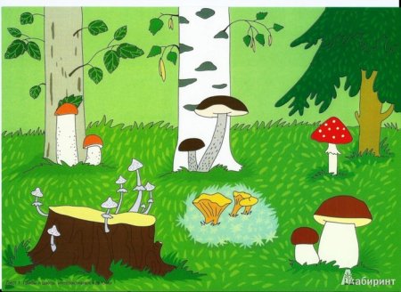 Поляна с грибами мультяшная