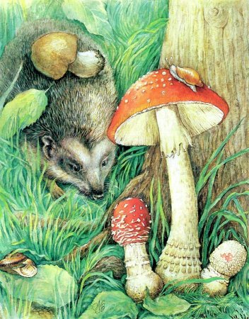 Грибной лес живопись