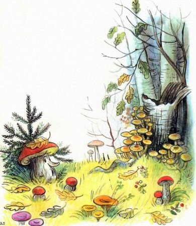 Сутеев гриб иллюстрации книг