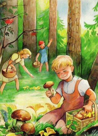 Рисунок сбор грибов в лесу