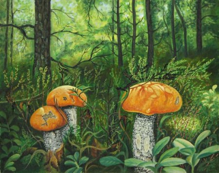 Рисование с детьми грибы